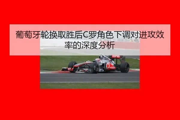 pu-tao-ya-lun-huan-qu-sheng-hou-luo-jue-se-xia-tiao-dui-jin-gong-xiao-lv-de-shen-du-fen-xi-2-316.jpg